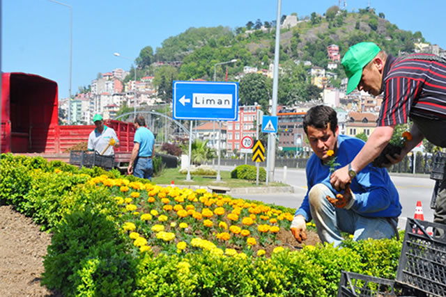 Peyzaj